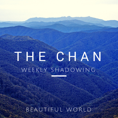 Chans Weekly Shadowing
