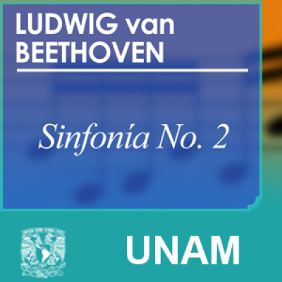 Sinfonía No. 2 En Re Mayor, Op.36