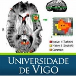 Desarrollo Encefálico Y Cultura