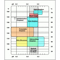 Brew Strong | Enzymes With John Palmer