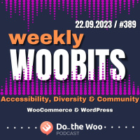 Accessibility, Diversity, Community, WooSesh and More
