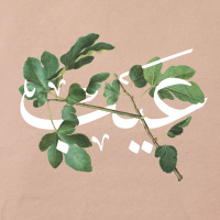 الإجهاض ( الموسم ١ الحلقة ٢)