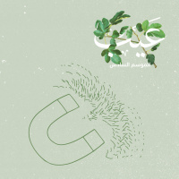 كيف يرانا المُتحرِّشون