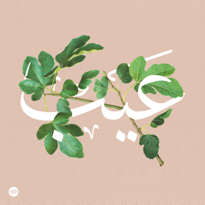 Eib |