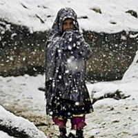 ارحموا من في الارض يرحمكم من السماء .. مؤثر جدا