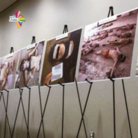 ملف قيصر تحت المجهر - بلا تذكرة سفر 192