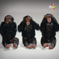 المسكوت عنه - شروي غروي 20