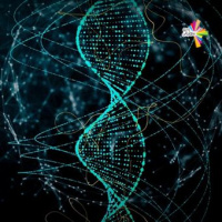 اختبارات الحمض النّووي والتّحاليل الوراثيّة - صحصح 14