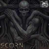 تاورو حبوه خليه