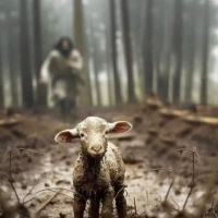 الخميس مساءً - أرضك هويتها محبوبة