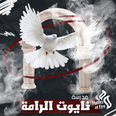 New Life Ministry Egypt