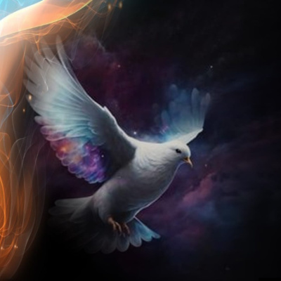 New Life Ministry Egypt