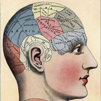 الذاكرة- 2- أصناف الذاكرة الإنسانية