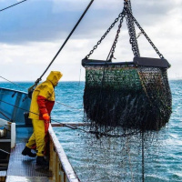 Pesca y Tecnologia con Ismael Perez