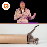 Curiouser  Curiouser