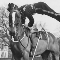 Episode 16: Antwerp, 1920, Part 1: One Small Leap Over Equines