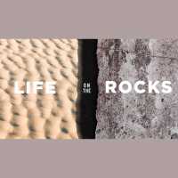 Life on the Rocks: Rock Good Sand Bad