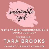 Lets Talk Environmentalism and Social Justice