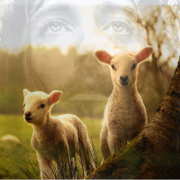 Mensagens De Graça E Paz