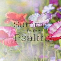 Psalm 25 - Surrender or Not, the Choice is Yours