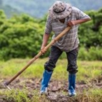Contextualización de las protestas en Colombia