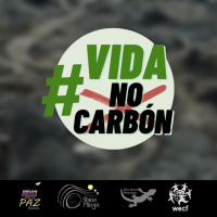 Carbón colombiano para la Alemania verde