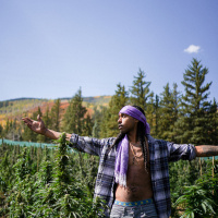 The Pheno Finder: Cannabis Culture, Quality, and in Sports. 