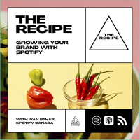 01 - Growing Your Brand With Spotify - With Ivan Pehar