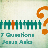 Why Do You Call Me Lord, Lord, and Do Not Do What I Say?