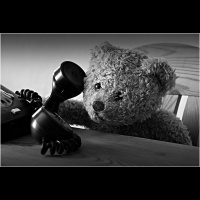 Audio-Tagebücher des Irrsinns