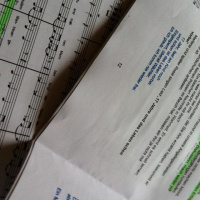 Unterwegs: Alltagswahnsinn