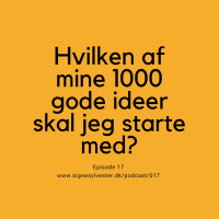 17 - Hvilken af mine 1000 ideer skal jeg starte med?