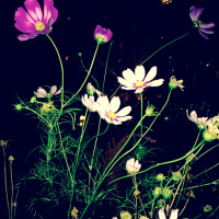 Dorian Gray•Friendships•Partnerships