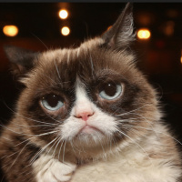 Human News: #Atlantis