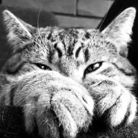 Earth News: What Lies Beneath