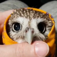 Why haven’t we seen any extraterrestrials yet?