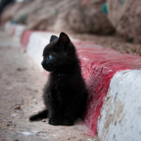 Does anyone have the courage, to wake up?