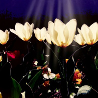 Seasons of Love: Twin Flames