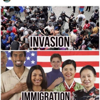 Real News: Maga Bomber, Mueller Sex Scandal, Gold Reset