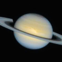 Saturnalia, Money amp Ur Prostate Update