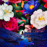 Human News: King James Knowledge Sets US Free