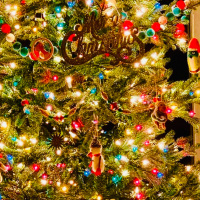 Intuitive Talk: Happier Holidays?