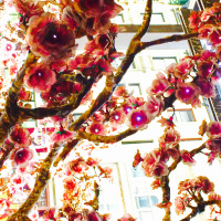 Reunion updated 11:11 TwinFlame