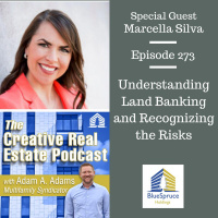 AAA273 Understanding Land Banking and Recognizing the Risks - Marcella Silva