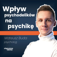 Jak wygląda terapia psychodeliczna za granicą? | psycholog Mateusz Buda