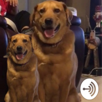 Falcon Heavy Test Flight!