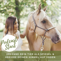 Podcast - Start
