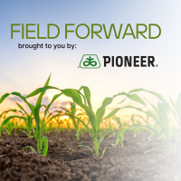 Field Forward- Learning About Pioneer Brand Plenish E3 Soybeans