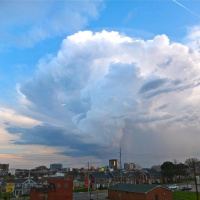 Sarah Gayle Meech, Honky Tonk Queen