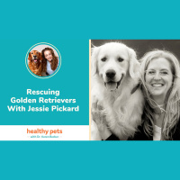 Rescuing Golden Retrievers With Jessie Pickard